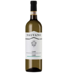 Salvano Gavi di Gavi 2025