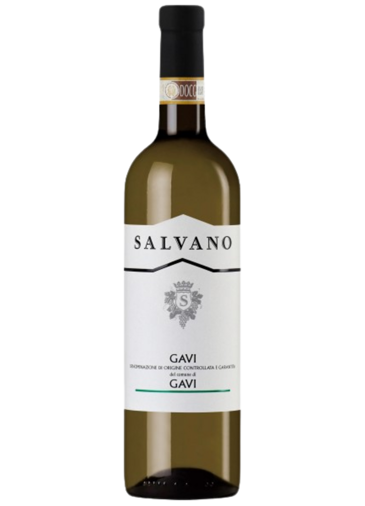Salvano Gavi di Gavi 2025