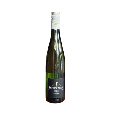 Caves Richemer Hippocampe Piquepoul 2025