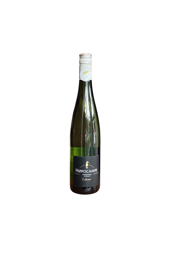 Caves Richemer Hippocampe Piquepoul 2025