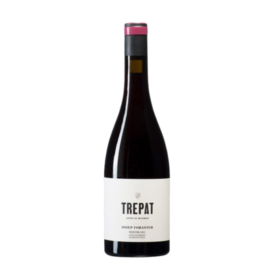 Josep Foraster Trepat 2024