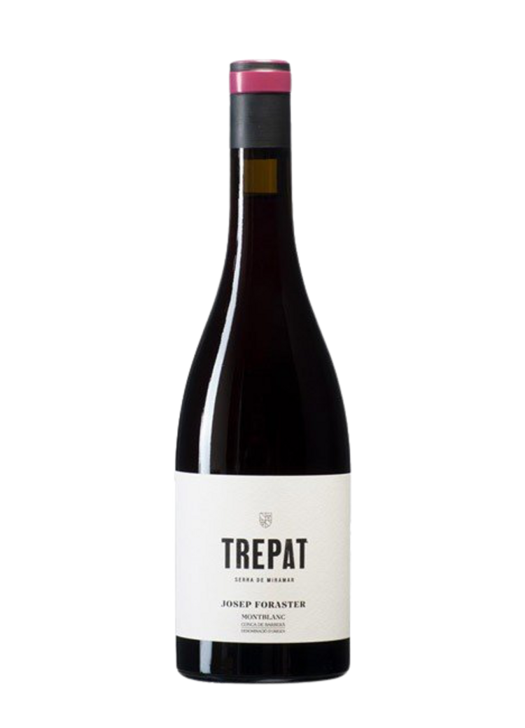 Josep Foraster Trepat 2024