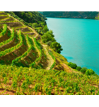 Summer Wines of Portugal // Location: Capitol Hill, DC