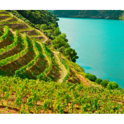Summer Wines of Portugal // Location: Capitol Hill, DC