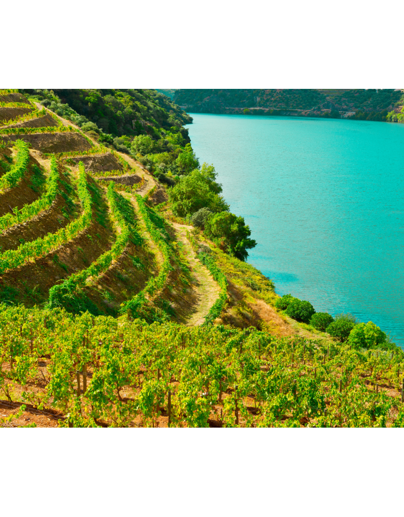 Summer Wines of Portugal // Location: Capitol Hill, DC