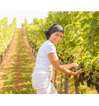 Behind the Wine: Exceptional Women Winemakers // Location: Alexandria, VA