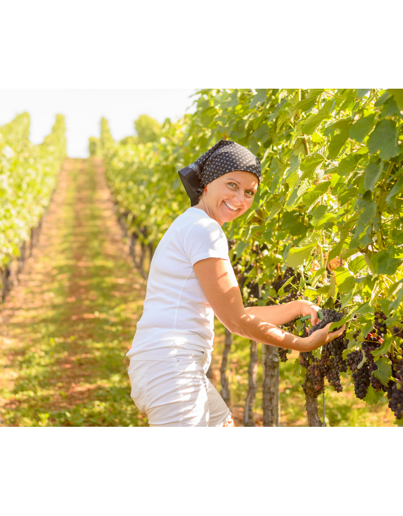 Behind the Wine: Exceptional Women Winemakers // Location: Alexandria, VA