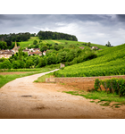Overlooked Wines of France // Location: Alexandria, VA