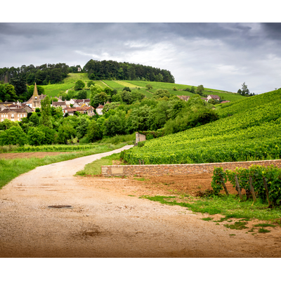 Overlooked Wines of France // Location: Alexandria, VA