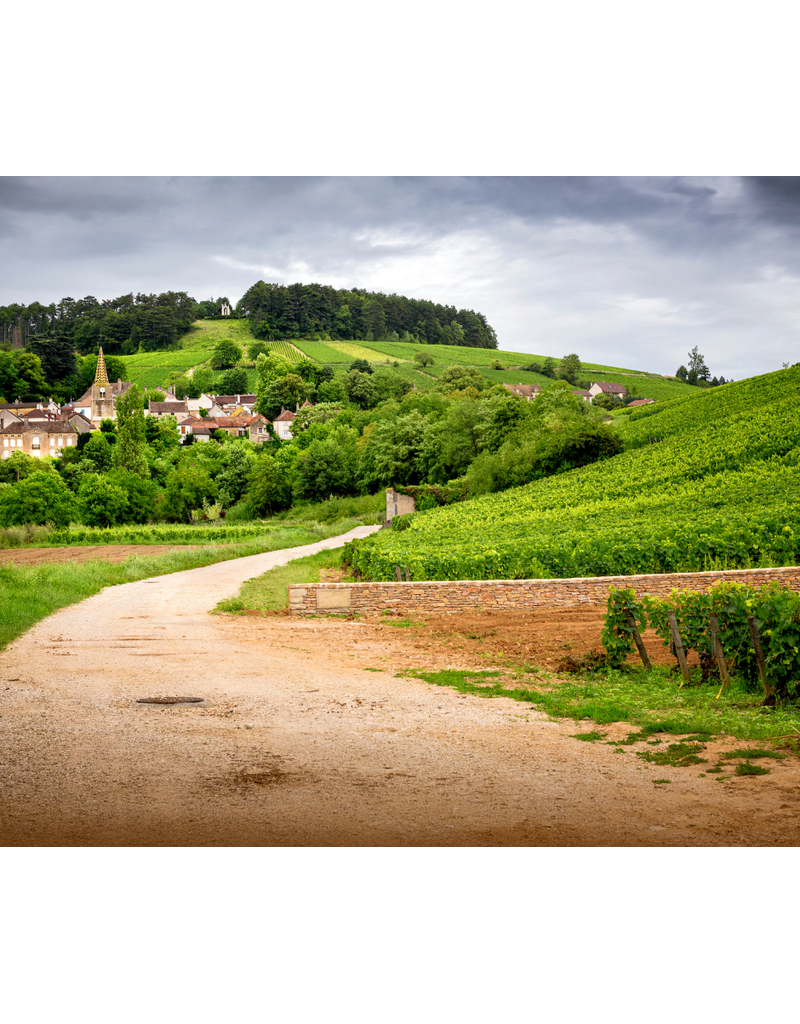 Overlooked Wines of France // Location: Alexandria, VA