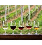 Taste Fundamentals: An Introduction to Wine // Location: Capitol Hill, DC