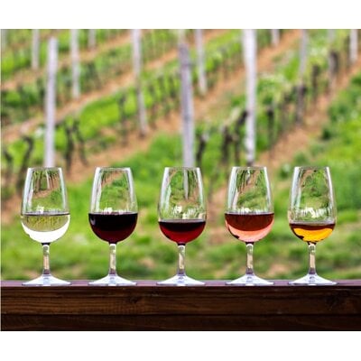 Taste Fundamentals: An Introduction to Wine // Location: Capitol Hill, DC