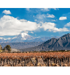 Foothills of the Andes: The Wines of Chile & Argentina // Location: Capitol Hill, DC
