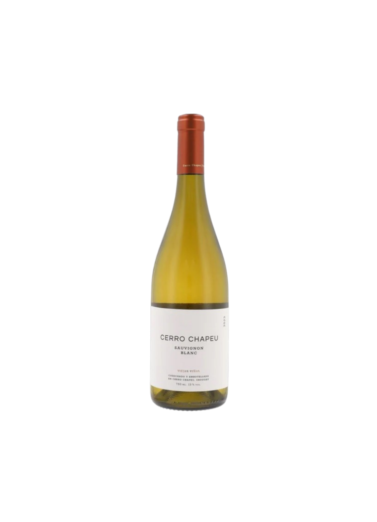 Bodegas Carrau Sauvignon Blanc 2024