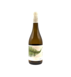 Fento Wines Albarino 2025