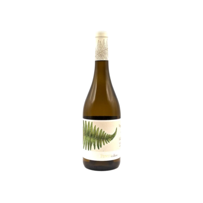 Fento Wines Albarino 2025
