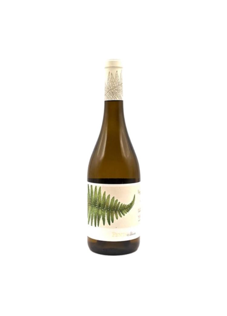 Fento Wines Albarino 2025