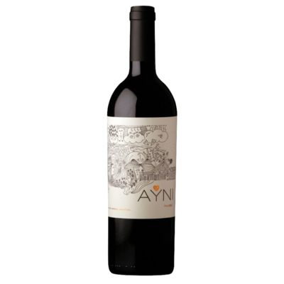 Ayni Malbec Paraje Altamira 2021