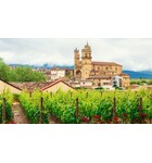 Introduction to Spanish Wines // Location: Capitol Hill, DC