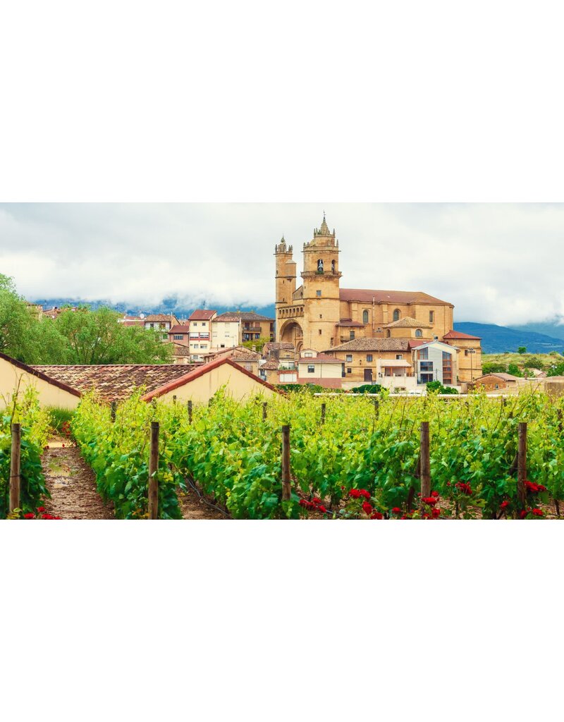 Introduction to Spanish Wines // Location: Capitol Hill, DC
