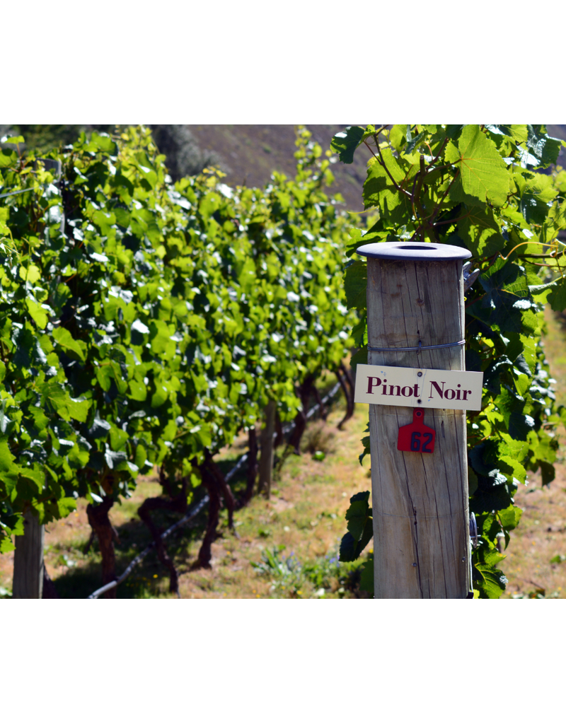 Pinot Noir From Around the World // Location: Capitol Hill, DC