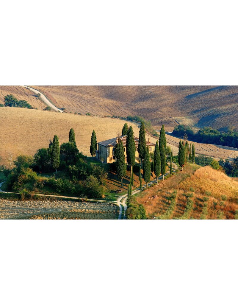 The Wines of Tuscany // Location: Alexandria, VA