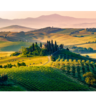 The Wines of Tuscany // Location: Alexandria, VA