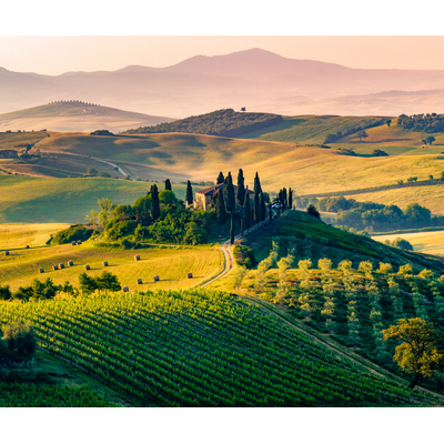 The Wines of Tuscany // Location: Alexandria, VA