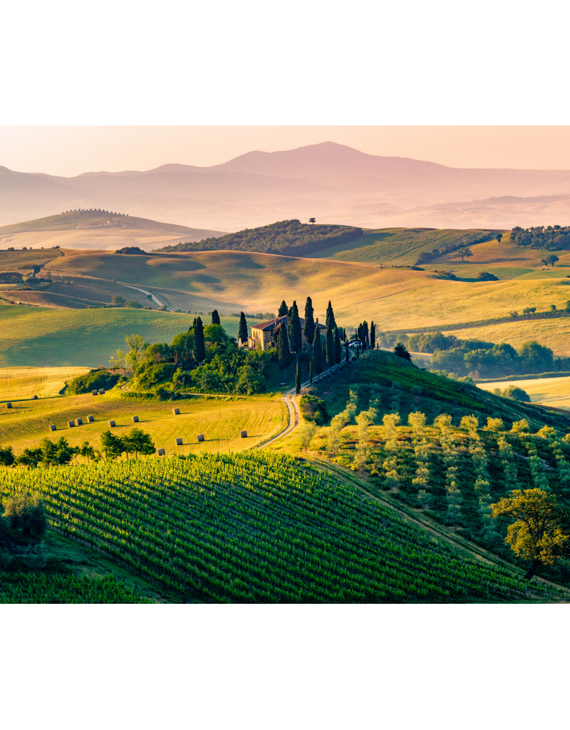The Wines of Tuscany // Location: Alexandria, VA
