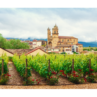 Introduction to Spanish Wines // Location: Capitol Hill, DC