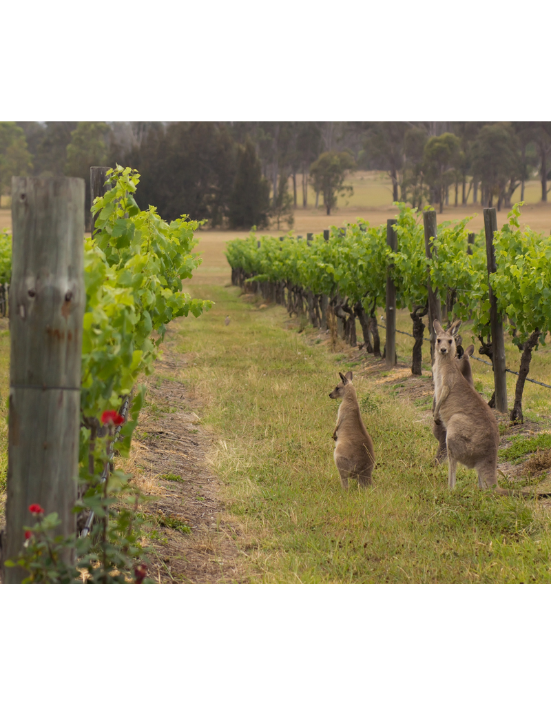 South Australia: The Heart of Aussie Wine // Location: Capitol Hill, DC