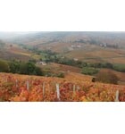 Exploring Cru Beaujolais // Location: Capitol Hill, DC
