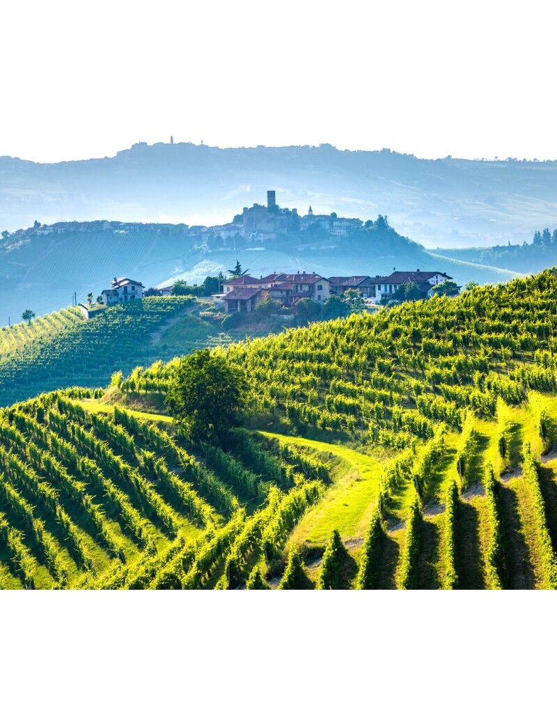 The Queen B's of Piedmont: Barolo, Barbaresco, and Barbera // Location: Alexandria, VA