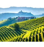 The Queen B's of Piedmont: Barolo, Barbaresco, and Barbera // Location: Alexandria, VA