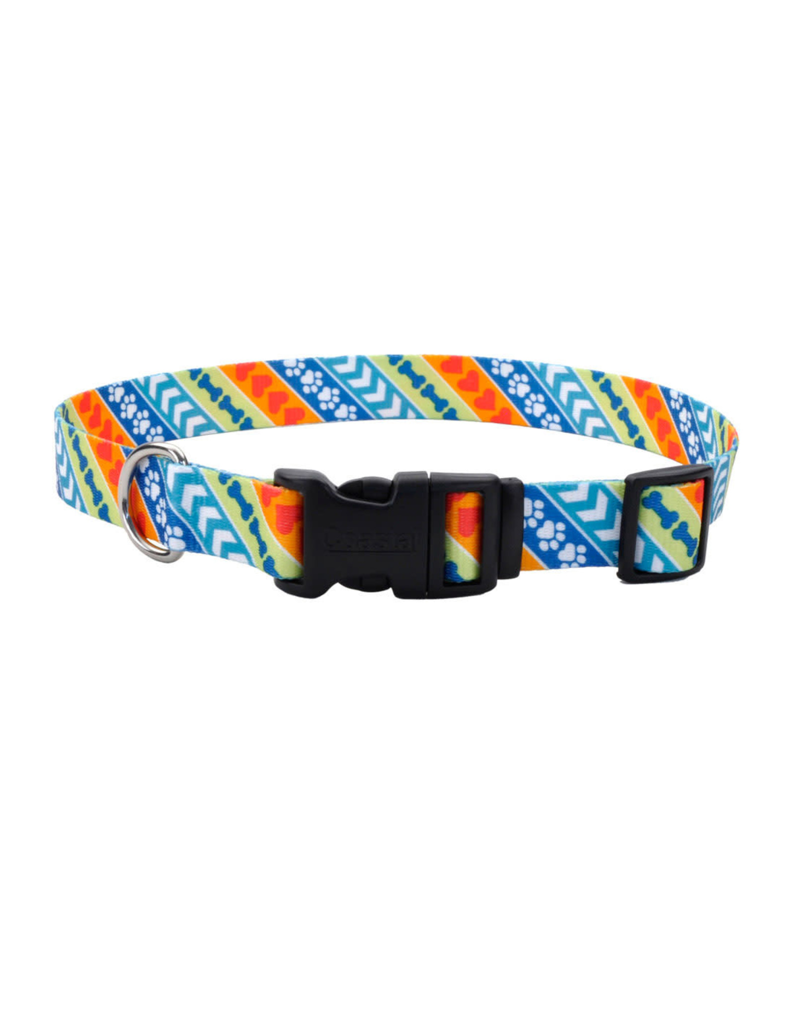 Coastal Pet Products Coastal Styles Adjustable Dog Collar