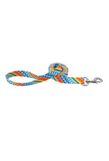 Coastal Pet Products Coastal Styles Dog Leash