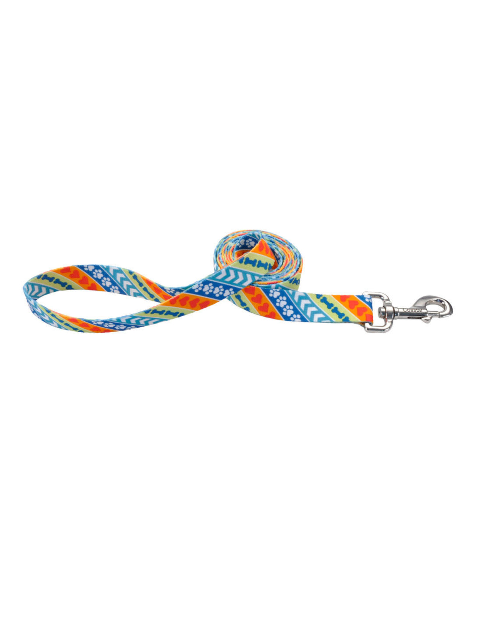 Coastal Pet Products Coastal Styles Dog Leash