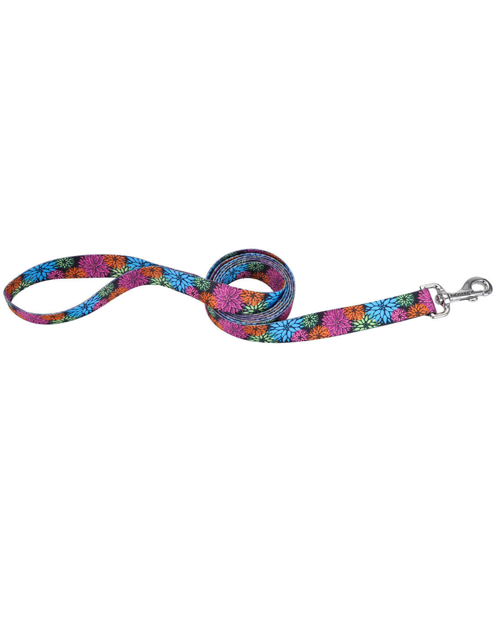 Coastal Pet Products Coastal Styles Dog Leash