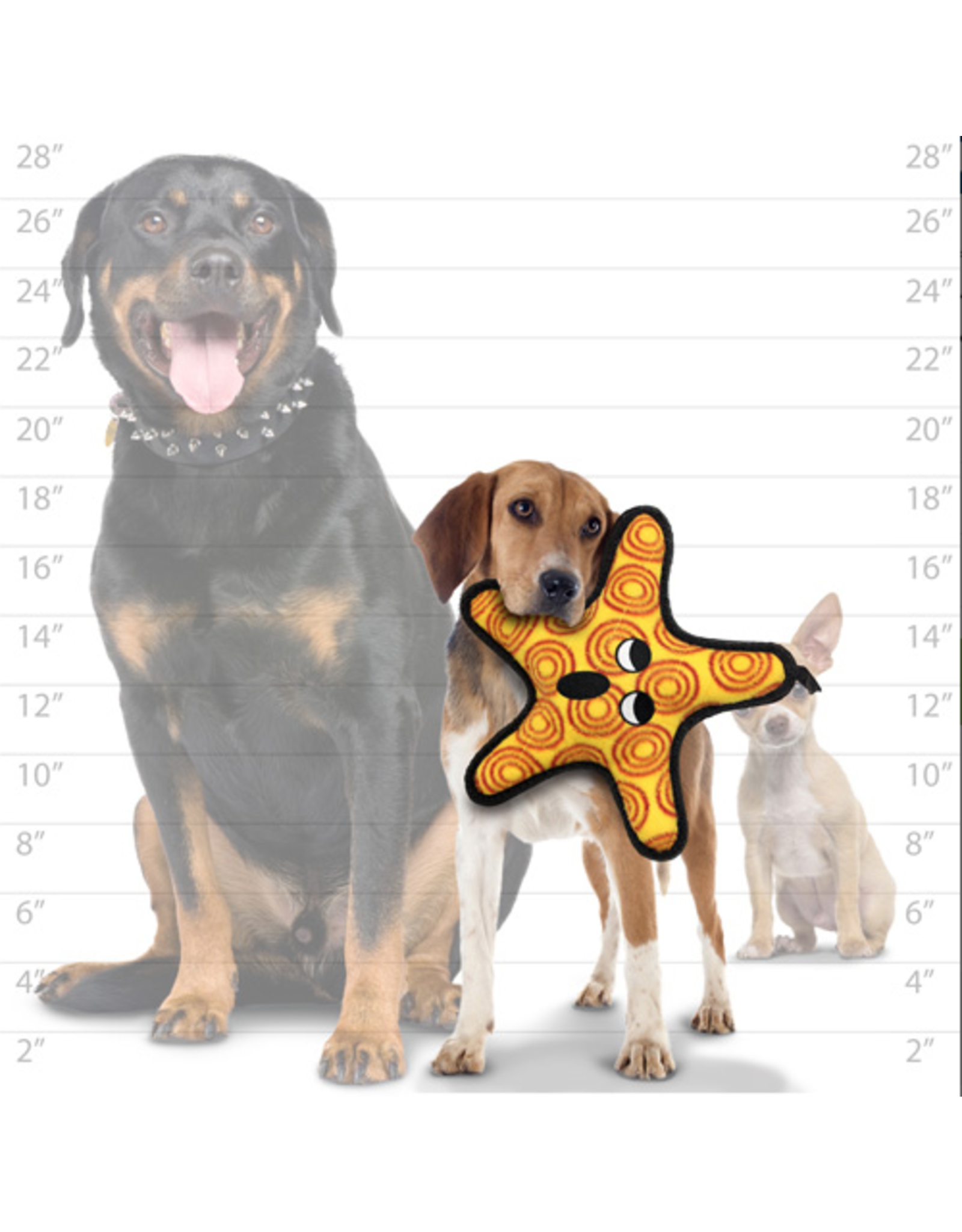 VIP Products VIP Tuffy Ocean Starfish