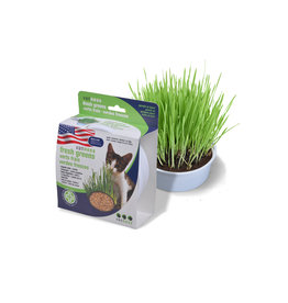 Van Ness Pet Products Van Ness Pureness Oat Garden Kit