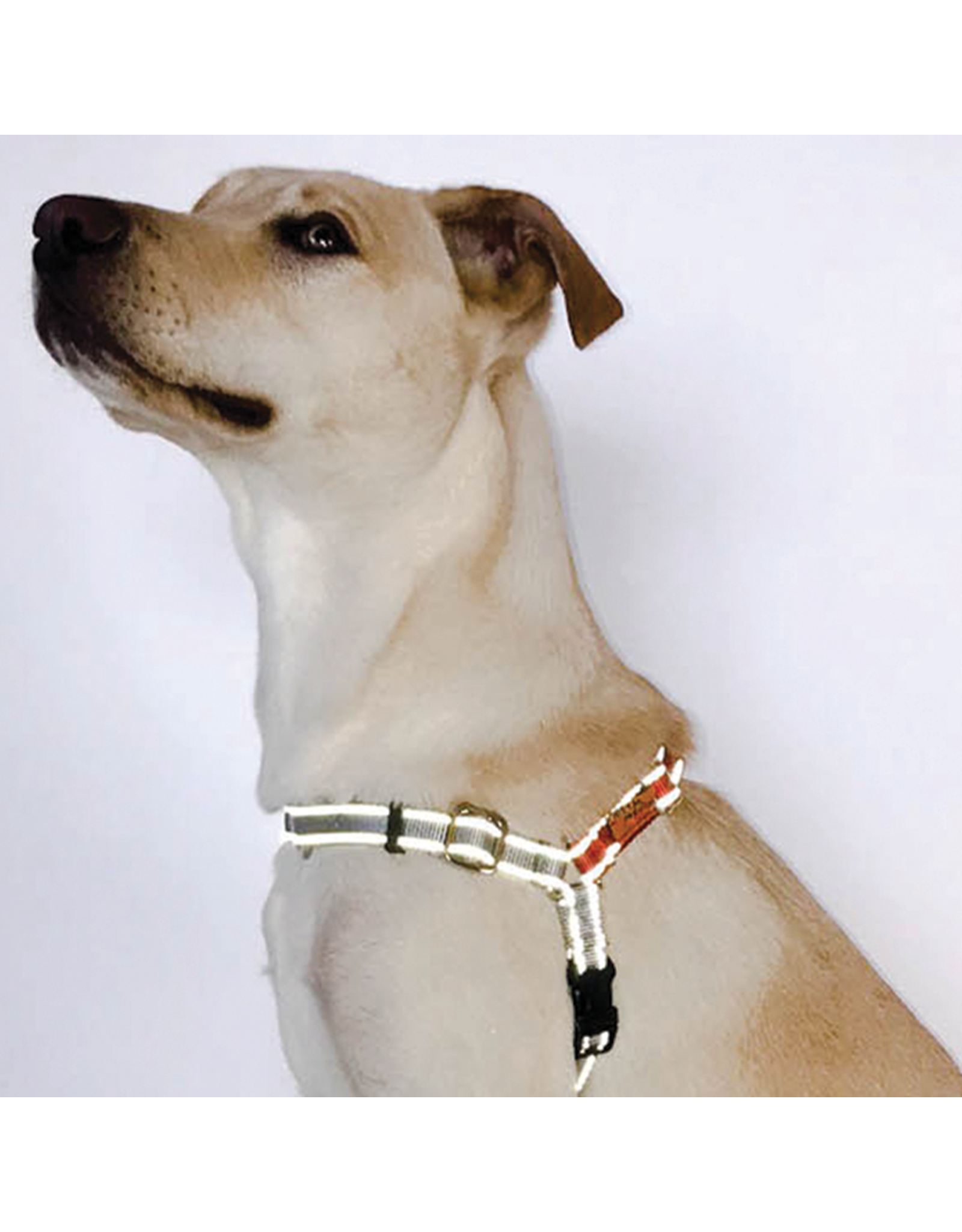 Dolan's Dog Doodads Wonder Walker Flash Reflective Body Halter