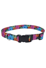 Coastal Pet Products Coastal Styles Adjustable Dog Collar