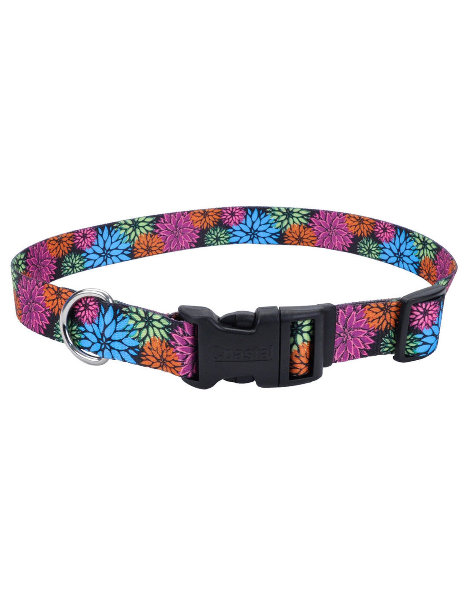 Coastal Pet Products Coastal Styles Adjustable Dog Collar