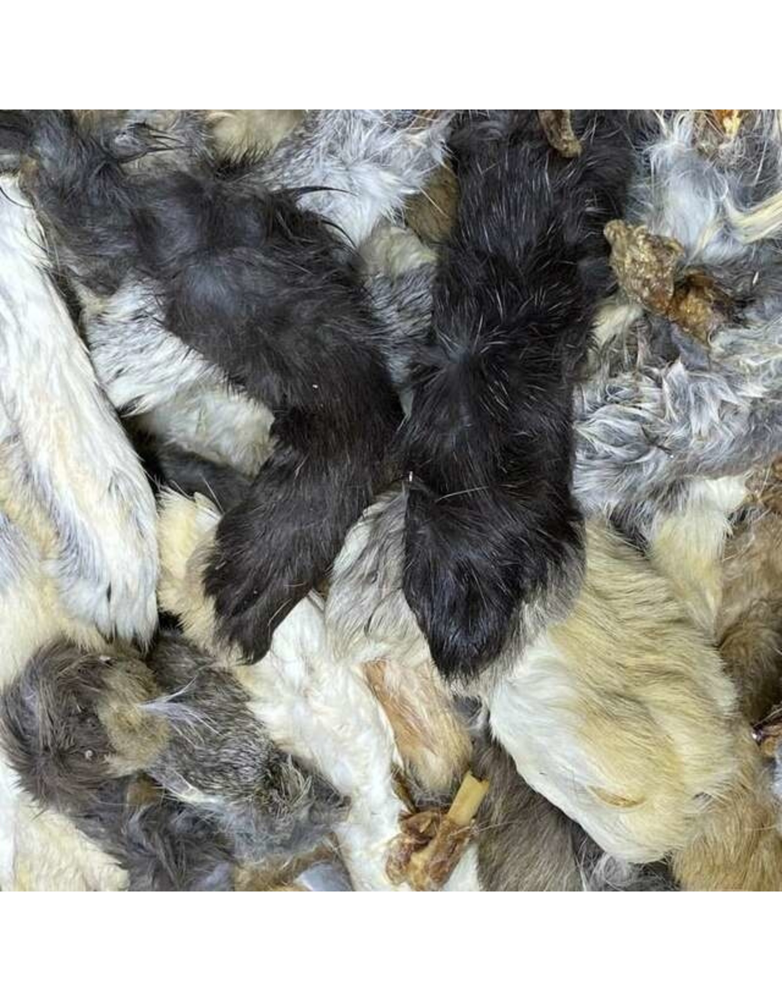 North Coast Pets NCP Dehydrated Rabbit Feet