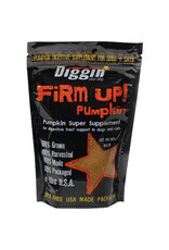 Diggin Your Dog Diggin Your Dog Firm Up! Pumpkin