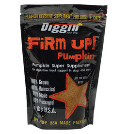 Diggin Your Dog Diggin Your Dog Firm Up! Pumpkin