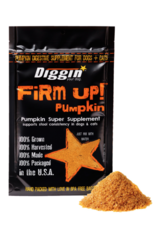 Diggin Your Dog Diggin Your Dog Firm Up! Pumpkin