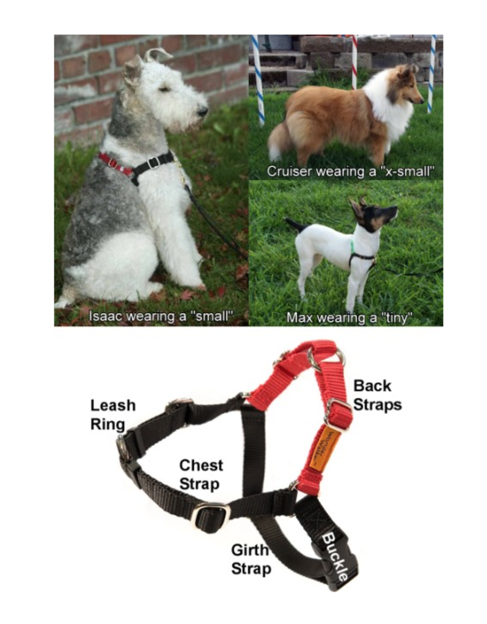 Dolan's Dog Doodads Wonder Walker No-Pull Body Halter