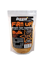 Diggin Your Dog Diggin Your Dog Firm Up! Pumpkin