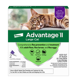 Elanco Elanco Advantage II Flea Treatment Large Cat Over 9 lbs. 2pk